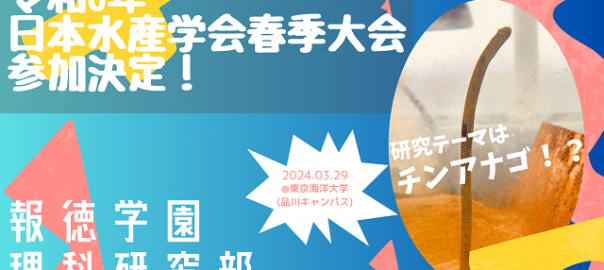 ホームページ用s