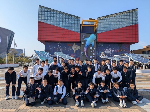 image_123650291