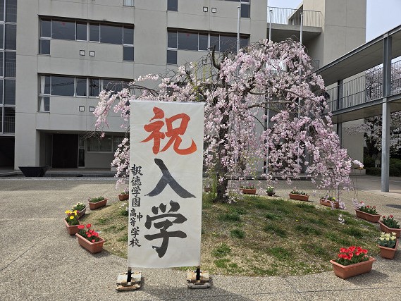 入学式１s