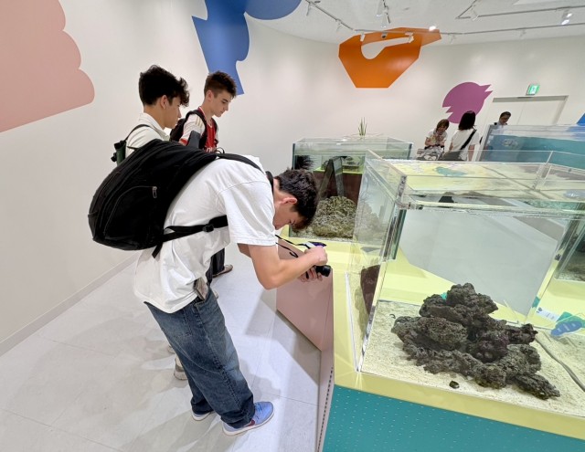 ニフレル