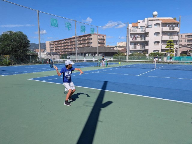 わくわく部活フェス